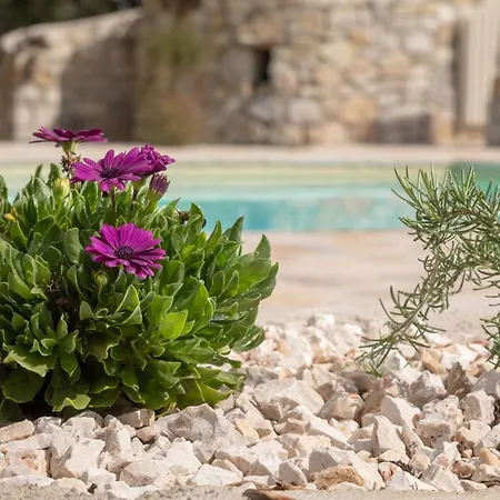 Bibi - Danilia * גאיוס