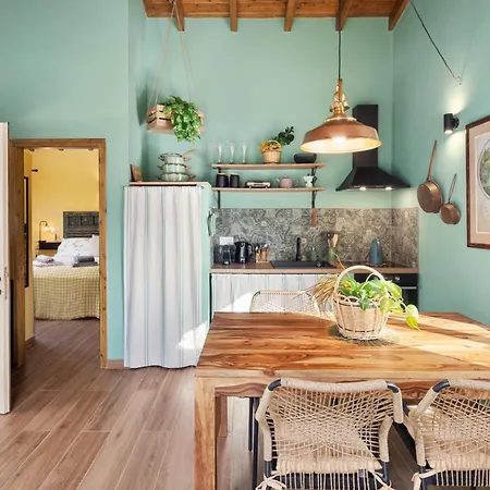 Bibi - Danilia גאיוס