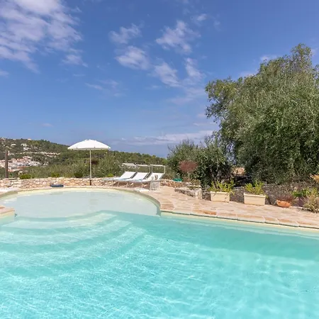 Bibi - Danilia * גאיוס