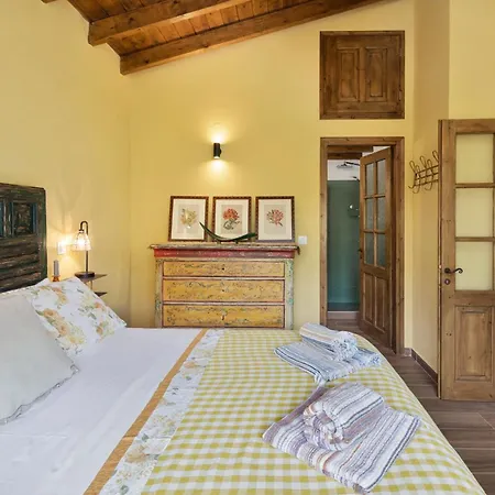 Bibi - Danilia גאיוס